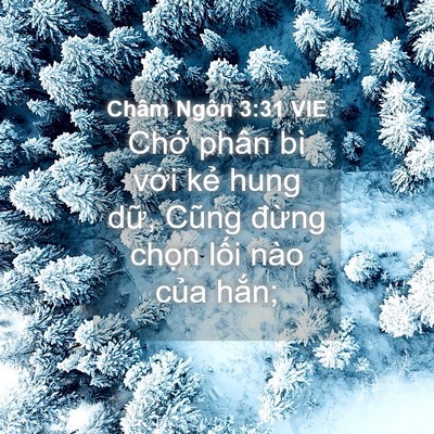 Picture 04 - Châm Ngôn 3:31 VIE - Chớ phân bì với kẻ hung dữ, Cũng - Bible Verse Picture