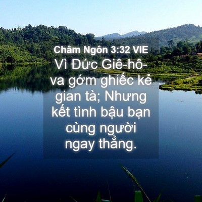 Picture 04 - Châm Ngôn 3:32 VIE - Vì Đức Giê-hô-va gớm ghiếc kẻ gian - Bible Verse Picture