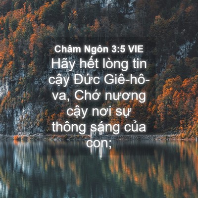 Picture 04 - Châm Ngôn 3:5 VIE - Hãy hết lòng tin cậy Đức Giê-hô-va, - Bible Verse Picture