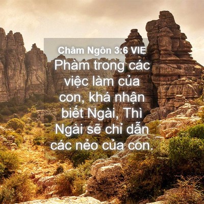 Picture 04 - Châm Ngôn 3:6 VIE - Phàm trong các việc làm của con, khá - Bible Verse Picture