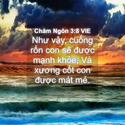 Picture 04 - Châm Ngôn 3:8 VIE - Như vậy, cuống rốn con sẽ được - Bible Verse Picture