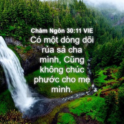 Picture 04 - Châm Ngôn 30:11 VIE - Có một dòng dõi rủa sả cha mình, Cũng - Bible Verse Picture