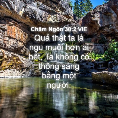 Picture 04 - Châm Ngôn 30:2 VIE - Quả thật ta là ngu muội hơn ai hết, Ta - Bible Verse Picture