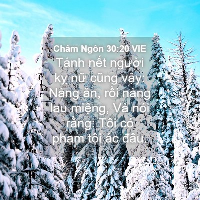 Picture 04 - Châm Ngôn 30:20 VIE - Tánh nết người kỵ nữ cũng vậy: Nàng - Bible Verse Picture