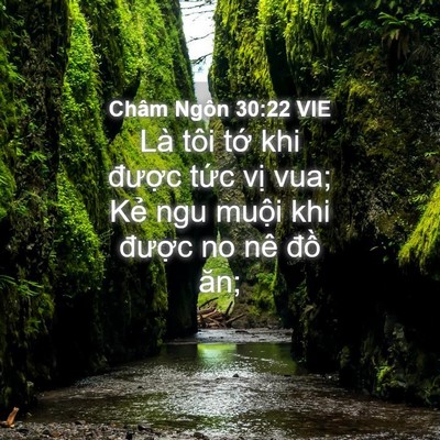 Picture 04 - Châm Ngôn 30:22 VIE - Là tôi tớ khi được tức vị vua; Kẻ - Bible Verse Picture