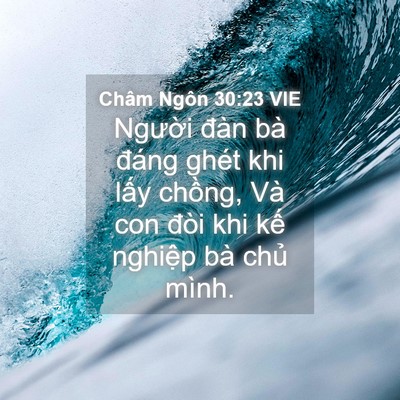 Picture 04 - Châm Ngôn 30:23 VIE - Người đàn bà đáng ghét khi lấy - Bible Verse Picture