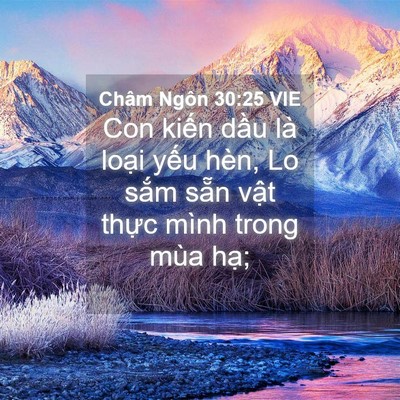 Picture 04 - Châm Ngôn 30:25 VIE - Con kiến dầu là loại yếu hèn, Lo sắm - Bible Verse Picture