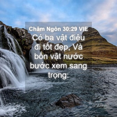 Picture 04 - Châm Ngôn 30:29 VIE - Có ba vật điệu đi tốt đẹp, Và bốn - Bible Verse Picture