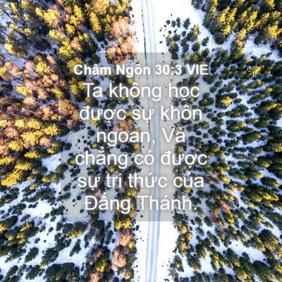 Picture 04 - Châm Ngôn 30:3 VIE - Ta không học được sự khôn ngoan, Và - Bible Verse Picture