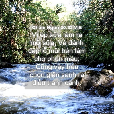 Picture 04 - Châm Ngôn 30:33 VIE - Vì ép sữa làm ra mỡ sữa, Và đánh - Bible Verse Picture