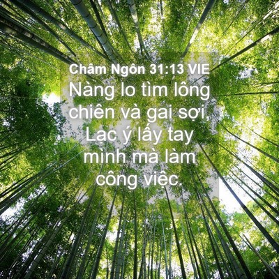 Picture 04 - Châm Ngôn 31:13 VIE - Nàng lo tìm lông chiên và gai sợi, Lạc - Bible Verse Picture