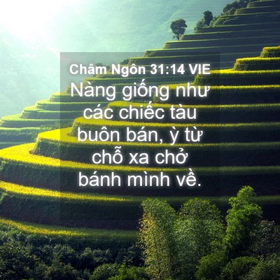 Picture 04 - Châm Ngôn 31:14 VIE - Nàng giống như các chiếc tàu buôn bán, - Bible Verse Picture