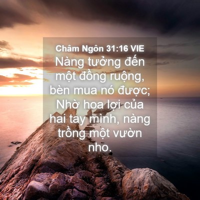Picture 04 - Châm Ngôn 31:16 VIE - Nàng tưởng đến một đồng ruộng, bèn - Bible Verse Picture