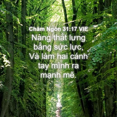 Picture 04 - Châm Ngôn 31:17 VIE - Nàng thắt lưng bằng sức lực, Và làm - Bible Verse Picture