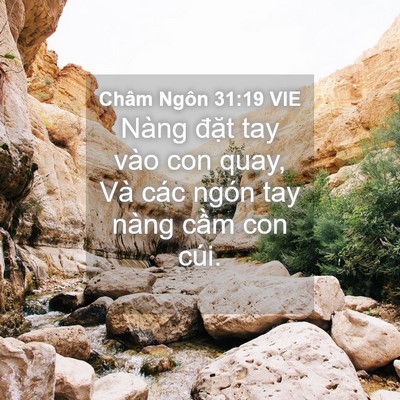 Picture 04 - Châm Ngôn 31:19 VIE - Nàng đặt tay vào con quay, Và các ngón - Bible Verse Picture
