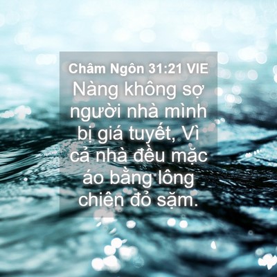 Picture 04 - Châm Ngôn 31:21 VIE - Nàng không sợ người nhà mình bị giá - Bible Verse Picture