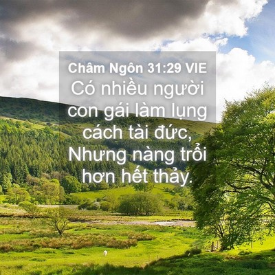 Picture 04 - Châm Ngôn 31:29 VIE - Có nhiều người con gái làm lụng cách - Bible Verse Picture