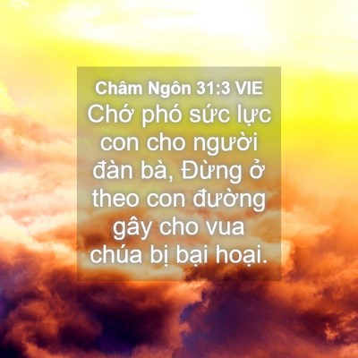Picture 04 - Châm Ngôn 31:3 VIE - Chớ phó sức lực con cho người đàn - Bible Verse Picture