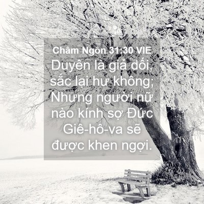 Picture 04 - Châm Ngôn 31:30 VIE - Duyên là giả dối, sắc lại hư không; - Bible Verse Picture