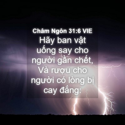 Picture 04 - Châm Ngôn 31:6 VIE - Hãy ban vật uống say cho người gần - Bible Verse Picture