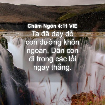 Picture 04 - Châm Ngôn 4:11 VIE - Ta đã dạy dỗ con đường khôn ngoan, - Bible Verse Picture