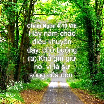 Picture 04 - Châm Ngôn 4:13 VIE - Hãy nắm chắc điều khuyên dạy, chớ - Bible Verse Picture