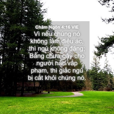 Picture 04 - Châm Ngôn 4:16 VIE - Vì nếu chúng nó không làm điều ác, - Bible Verse Picture