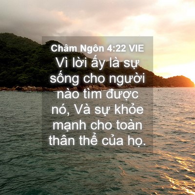 Picture 04 - Châm Ngôn 4:22 VIE - Vì lời ấy là sự sống cho người nào - Bible Verse Picture