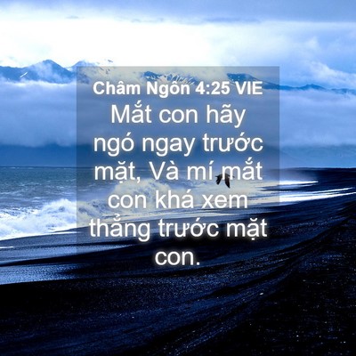Picture 04 - Châm Ngôn 4:25 VIE - Mắt con hãy ngó ngay trước mặt, Và mí - Bible Verse Picture