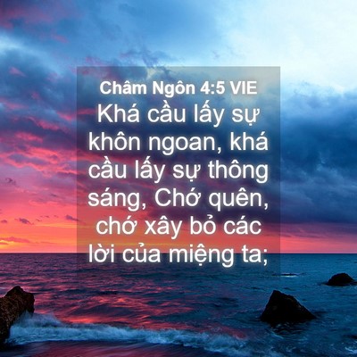 Picture 04 - Châm Ngôn 4:5 VIE - Khá cầu lấy sự khôn ngoan, khá cầu - Bible Verse Picture