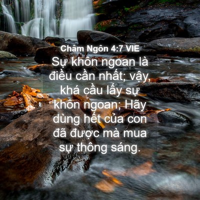 Picture 04 - Châm Ngôn 4:7 VIE - Sự khôn ngoan là điều cần nhất; vậy, - Bible Verse Picture