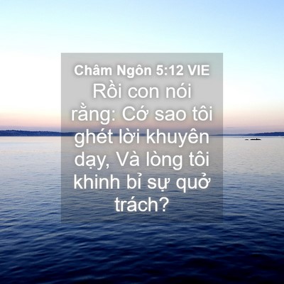 Picture 04 - Châm Ngôn 5:12 VIE - Rồi con nói rằng: Cớ sao tôi ghét lời - Bible Verse Picture