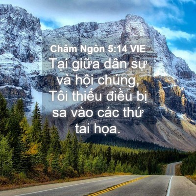 Picture 04 - Châm Ngôn 5:14 VIE - Tại giữa dân sự và hội chúng, Tôi - Bible Verse Picture