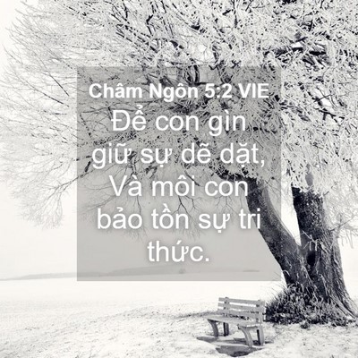 Picture 04 - Châm Ngôn 5:2 VIE - Để con gìn giữ sự dẽ dặt, Và môi - Bible Verse Picture
