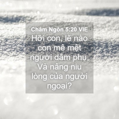 Picture 04 - Châm Ngôn 5:20 VIE - Hỡi con, lẽ nào con mê mệt người dâm - Bible Verse Picture