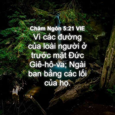 Picture 04 - Châm Ngôn 5:21 VIE - Vì các đường của loài người ở - Bible Verse Picture