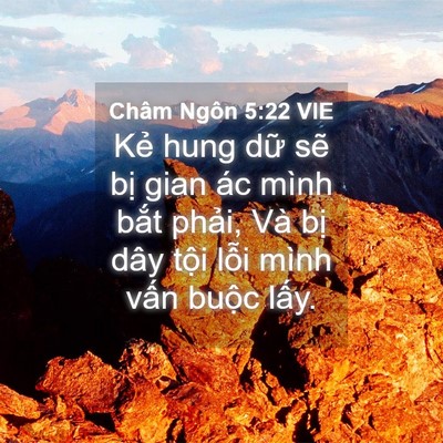 Picture 04 - Châm Ngôn 5:22 VIE - Kẻ hung dữ sẽ bị gian ác mình bắt - Bible Verse Picture