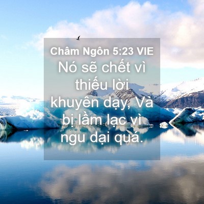 Picture 04 - Châm Ngôn 5:23 VIE - Nó sẽ chết vì thiếu lời khuyên dạy, - Bible Verse Picture