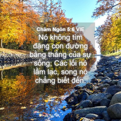 Picture 04 - Châm Ngôn 5:6 VIE - Nó không tìm đặng con đường bằng - Bible Verse Picture