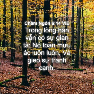 Picture 04 - Châm Ngôn 6:14 VIE - Trong lòng hắn vẫn có sự gian tà; Nó - Bible Verse Picture