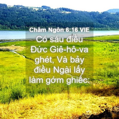 Picture 04 - Châm Ngôn 6:16 VIE - Có sáu điều Đức Giê-hô-va ghét, Và - Bible Verse Picture
