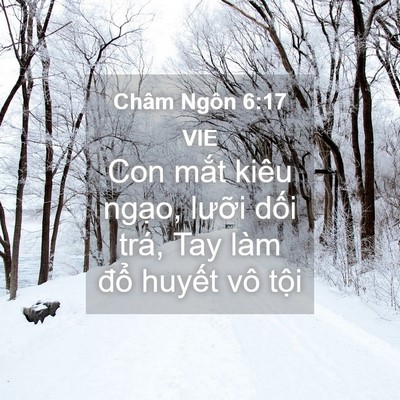 Picture 04 - Châm Ngôn 6:17 VIE - Con mắt kiêu ngạo, lưỡi dối trá, Tay - Bible Verse Picture