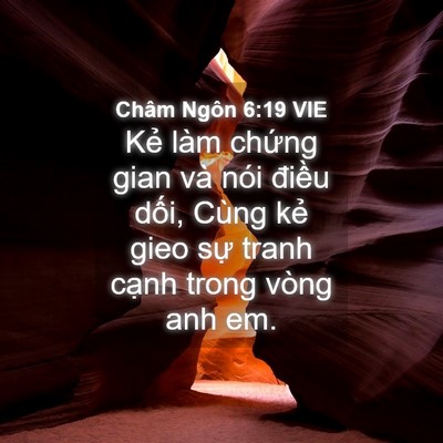Picture 04 - Châm Ngôn 6:19 VIE - Kẻ làm chứng gian và nói điều dối, - Bible Verse Picture