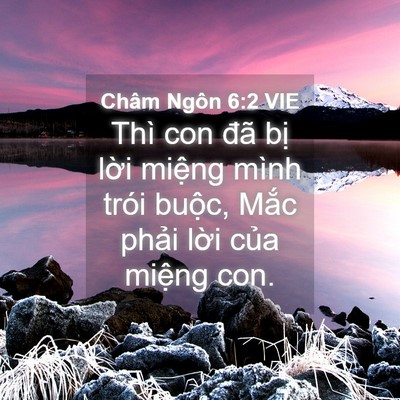 Picture 04 - Châm Ngôn 6:2 VIE - Thì con đã bị lời miệng mình trói - Bible Verse Picture