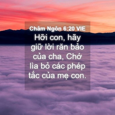 Picture 04 - Châm Ngôn 6:20 VIE - Hỡi con, hãy giữ lời răn bảo của cha, - Bible Verse Picture