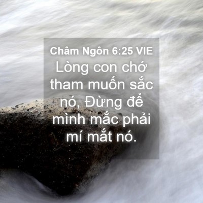 Picture 04 - Châm Ngôn 6:25 VIE - Lòng con chớ tham muốn sắc nó, Đừng - Bible Verse Picture