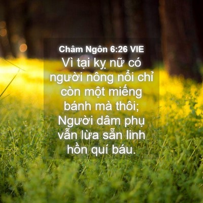 Picture 04 - Châm Ngôn 6:26 VIE - Vì tại kỵ nữ có người nông nổi - Bible Verse Picture