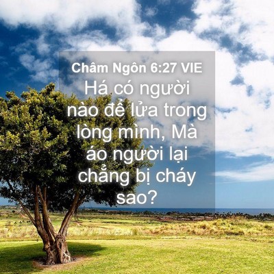Picture 04 - Châm Ngôn 6:27 VIE - Há có người nào để lửa trong lòng - Bible Verse Picture