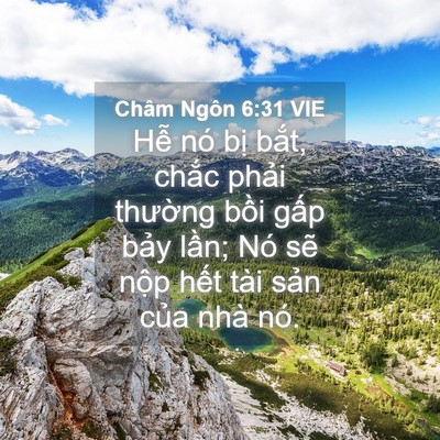Picture 04 - Châm Ngôn 6:31 VIE - Hễ nó bị bắt, chắc phải thường - Bible Verse Picture