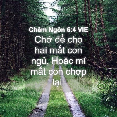 Picture 04 - Châm Ngôn 6:4 VIE - Chớ để cho hai mắt con ngủ, Hoặc mí - Bible Verse Picture